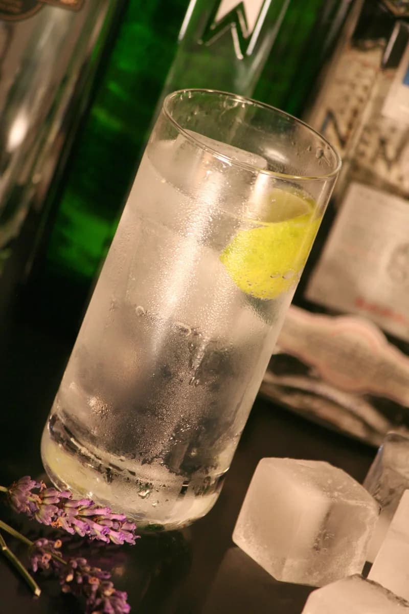 Gin Tonic